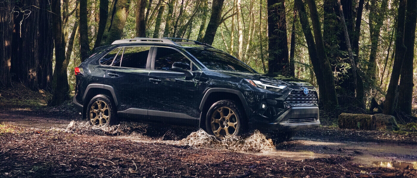 2025 Toyota RAV4 Exterior Deep Forest