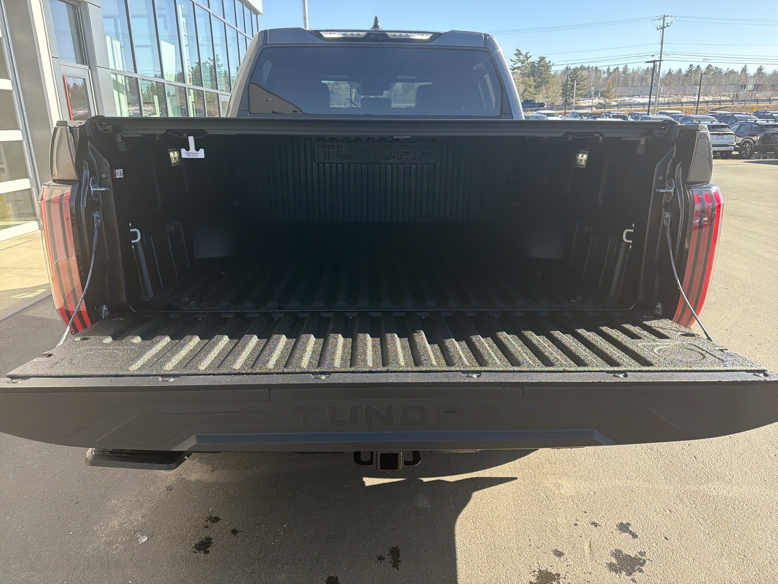 2026 Toyota Tundra TRD Pro - Photo 8