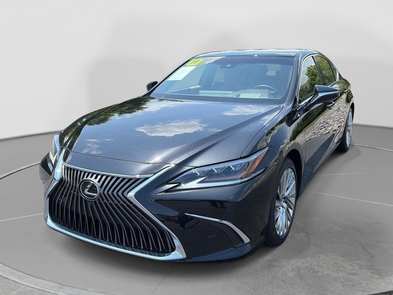 2019 Lexus ES 350 350 Ultra Luxury's photo