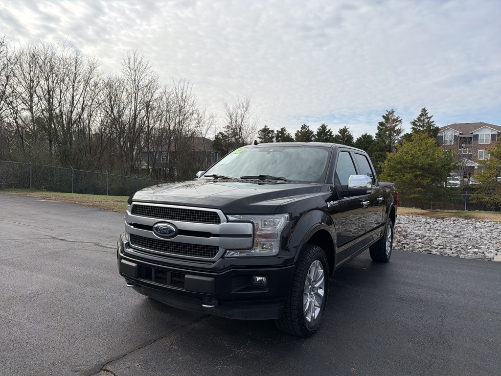 2019 Ford F-150 Platinum's photo