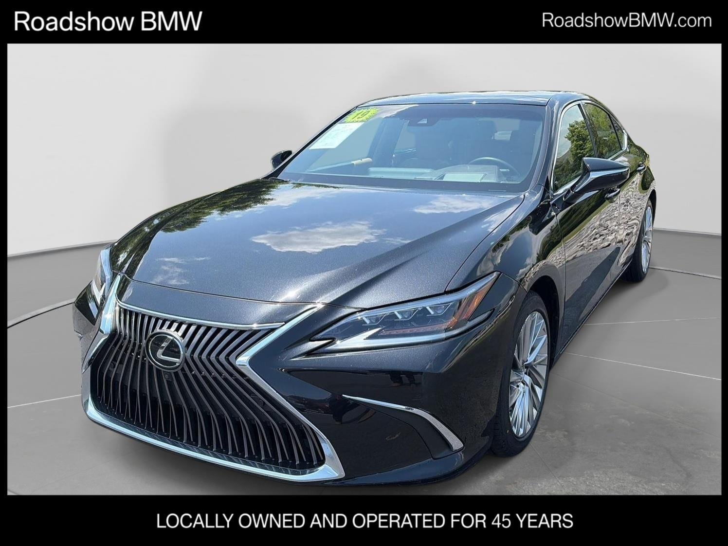 2019 Lexus ES 350 350 Ultra Luxury's photo