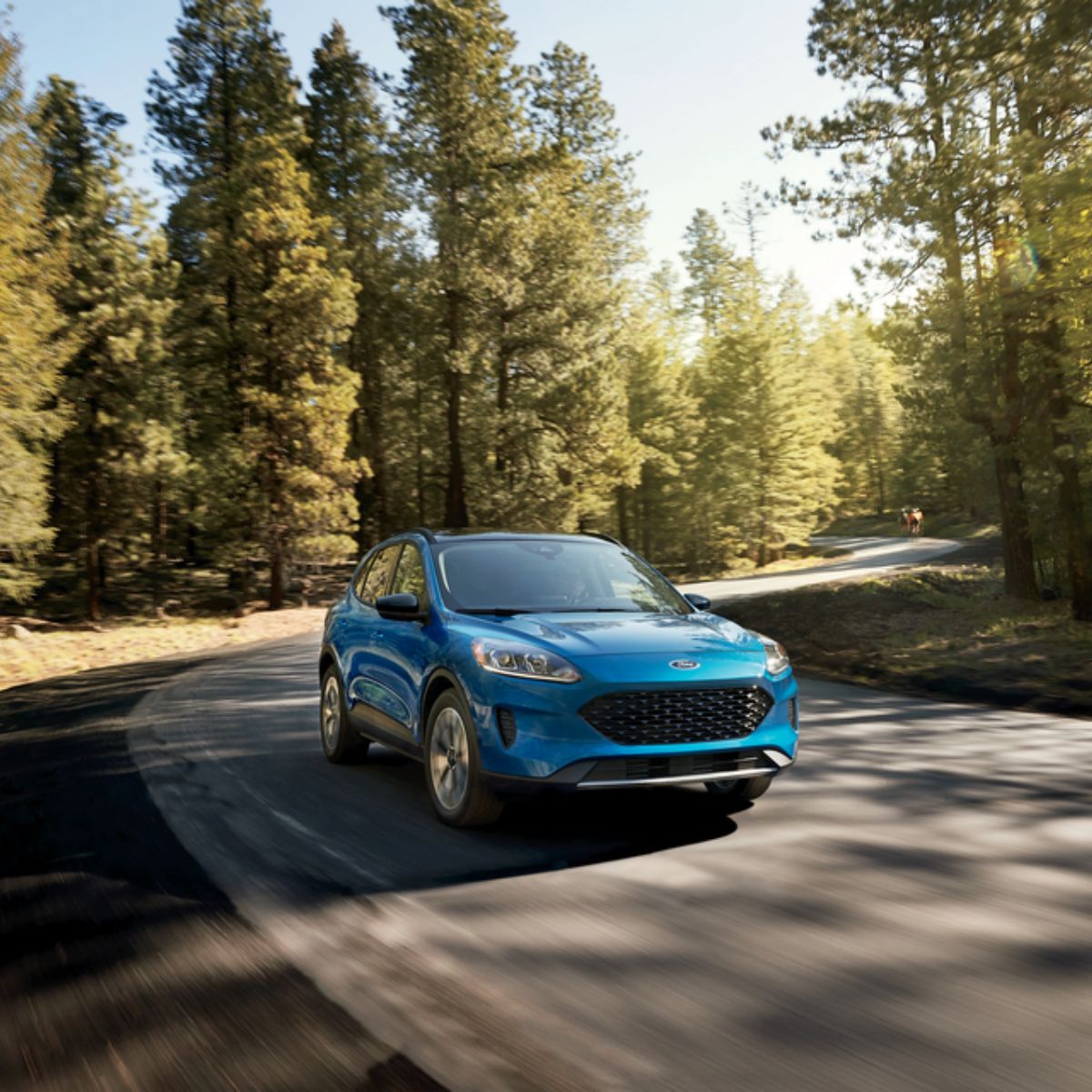 Shop New Ford Escape in Waycross Robbie Roberson Ford