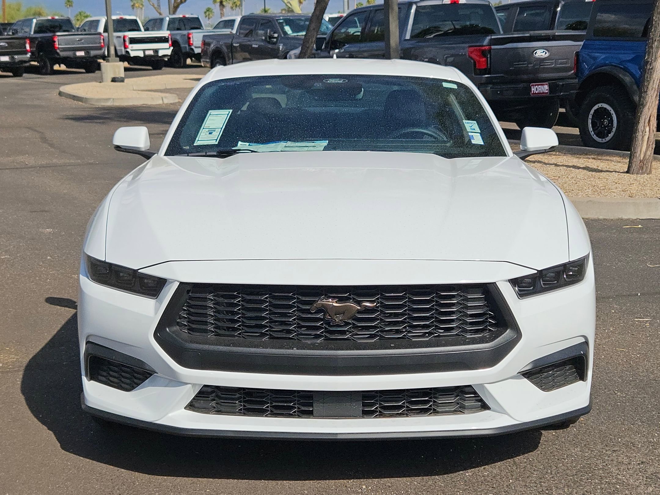 2025 Ford Mustang EcoBoost Premium photo 2