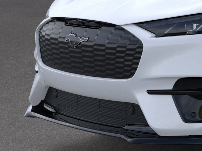 2025 Ford Mustang Mach-E Premium - Photo 17