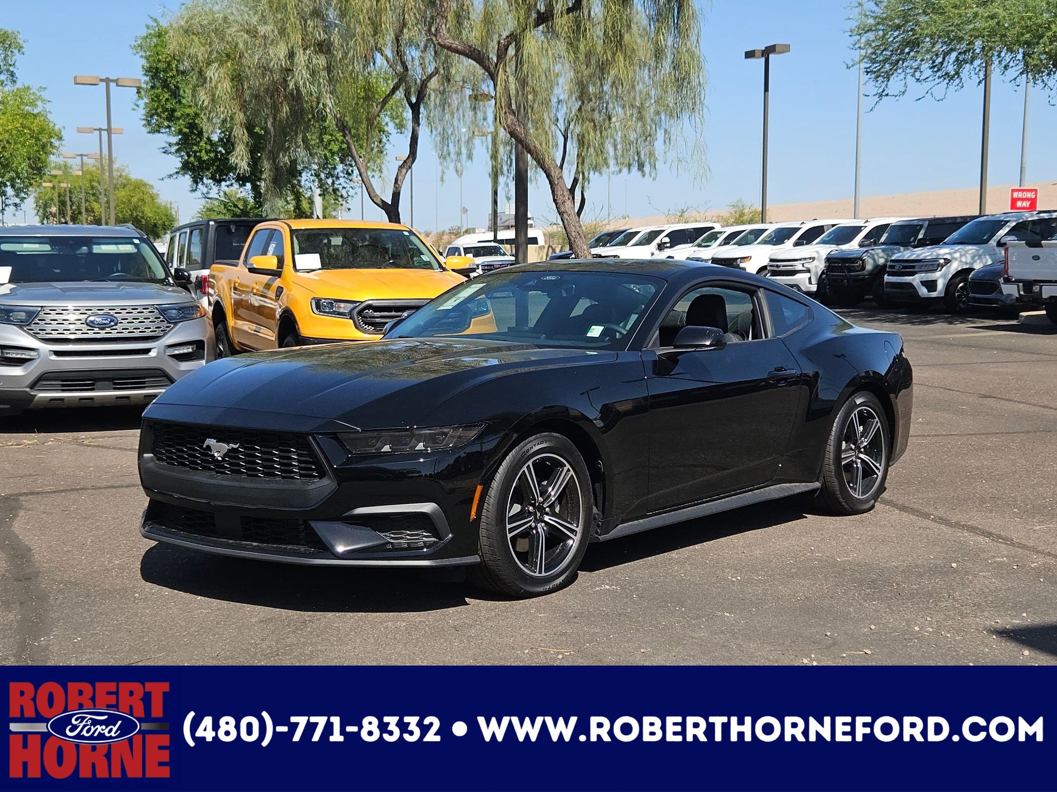 2025 Ford Mustang EcoBoost's photo