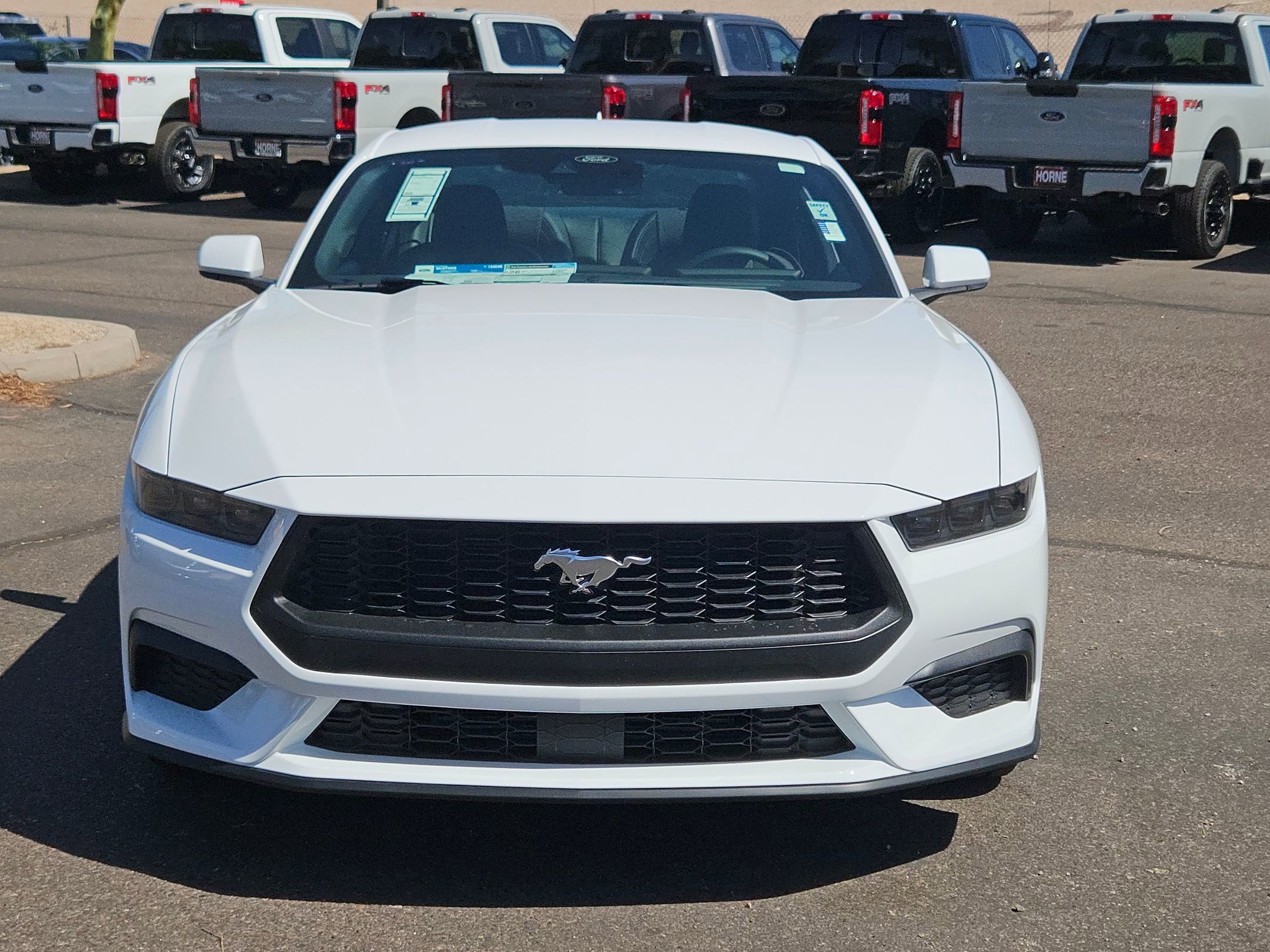 2025 Ford Mustang EcoBoost photo 2