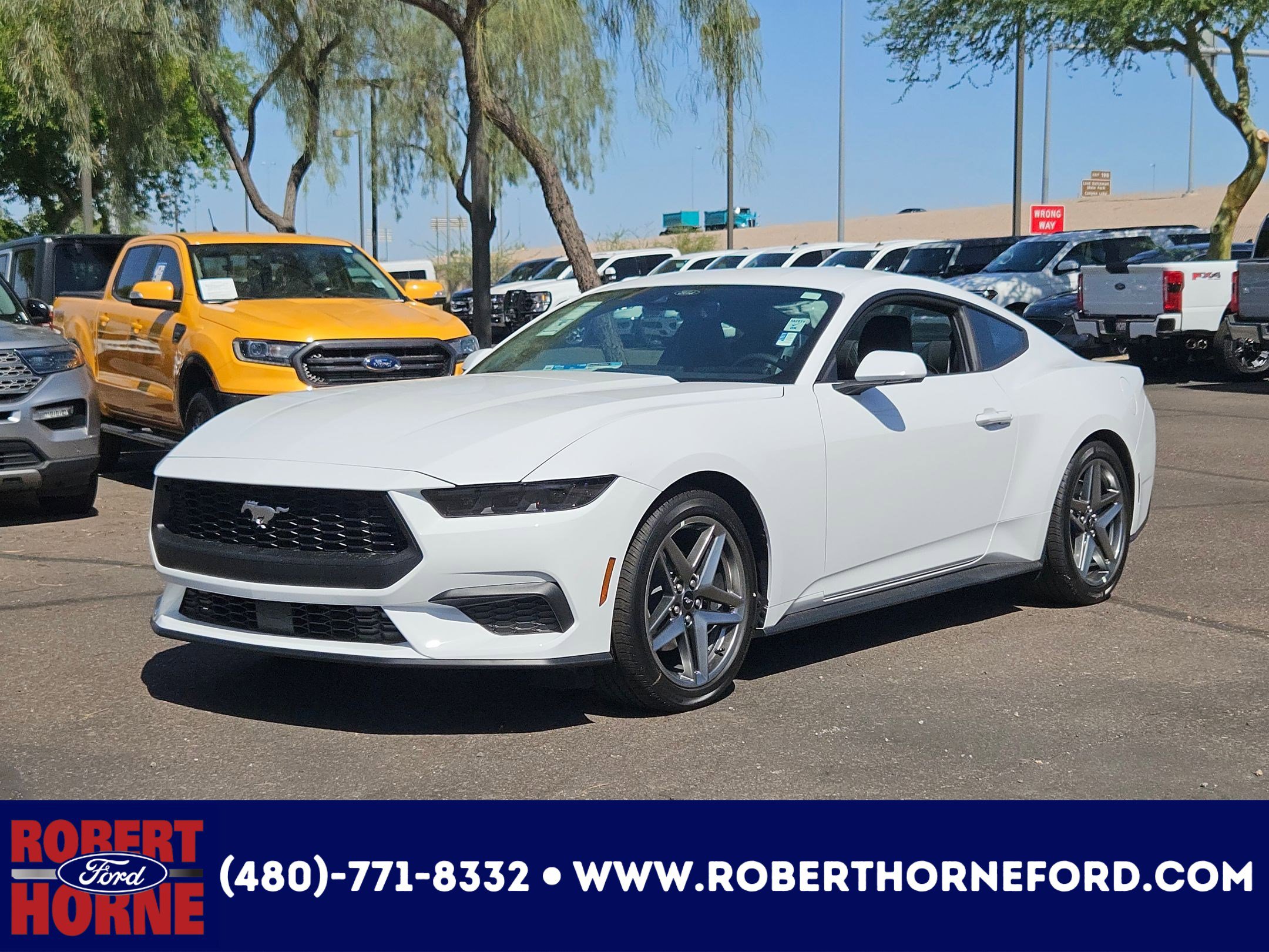 2025 Ford Mustang EcoBoost's photo