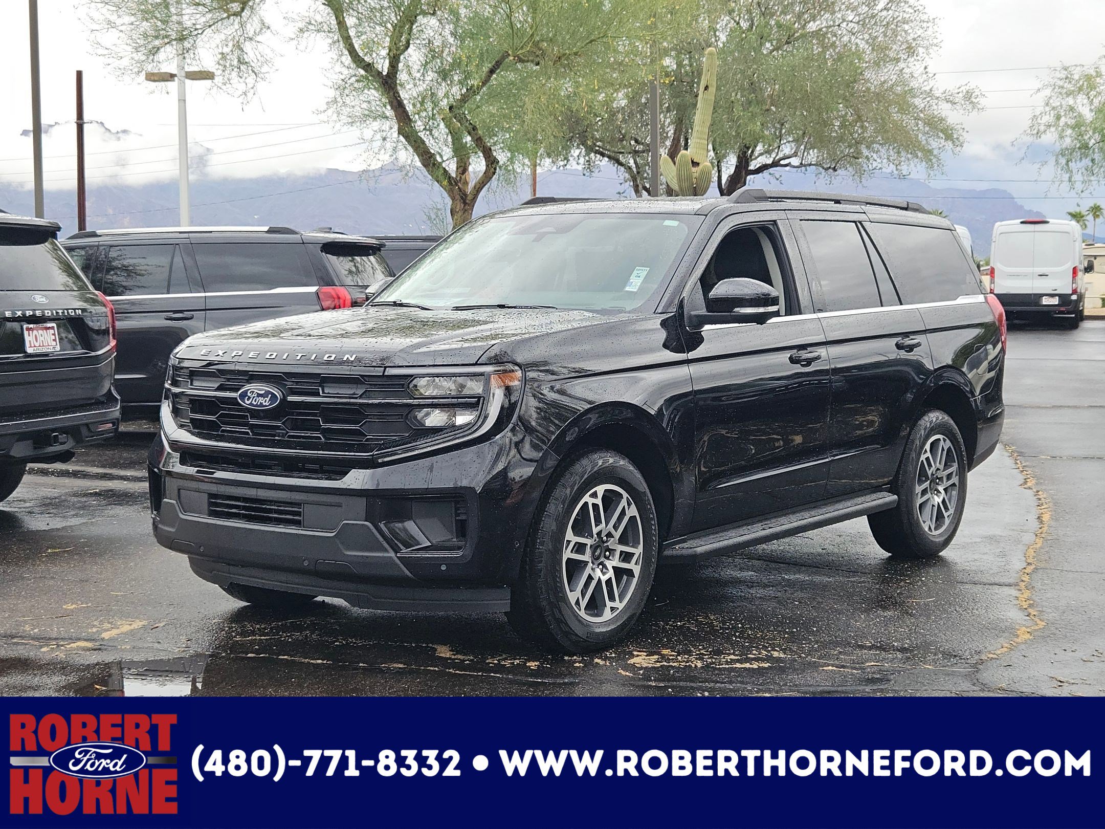 2025 Ford Expedition Active's photo