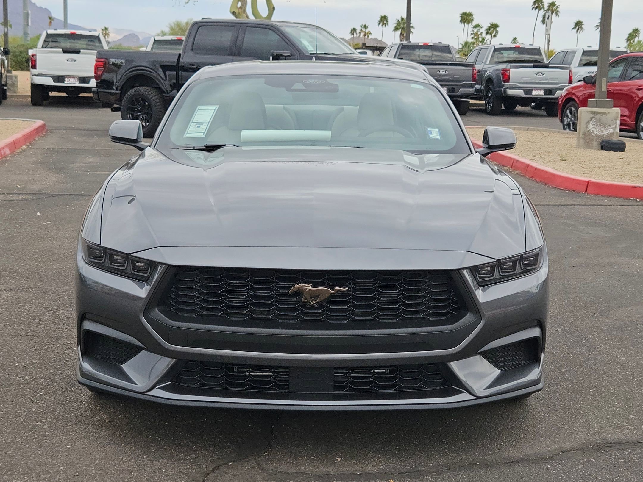 2025 Ford Mustang EcoBoost Premium photo 2