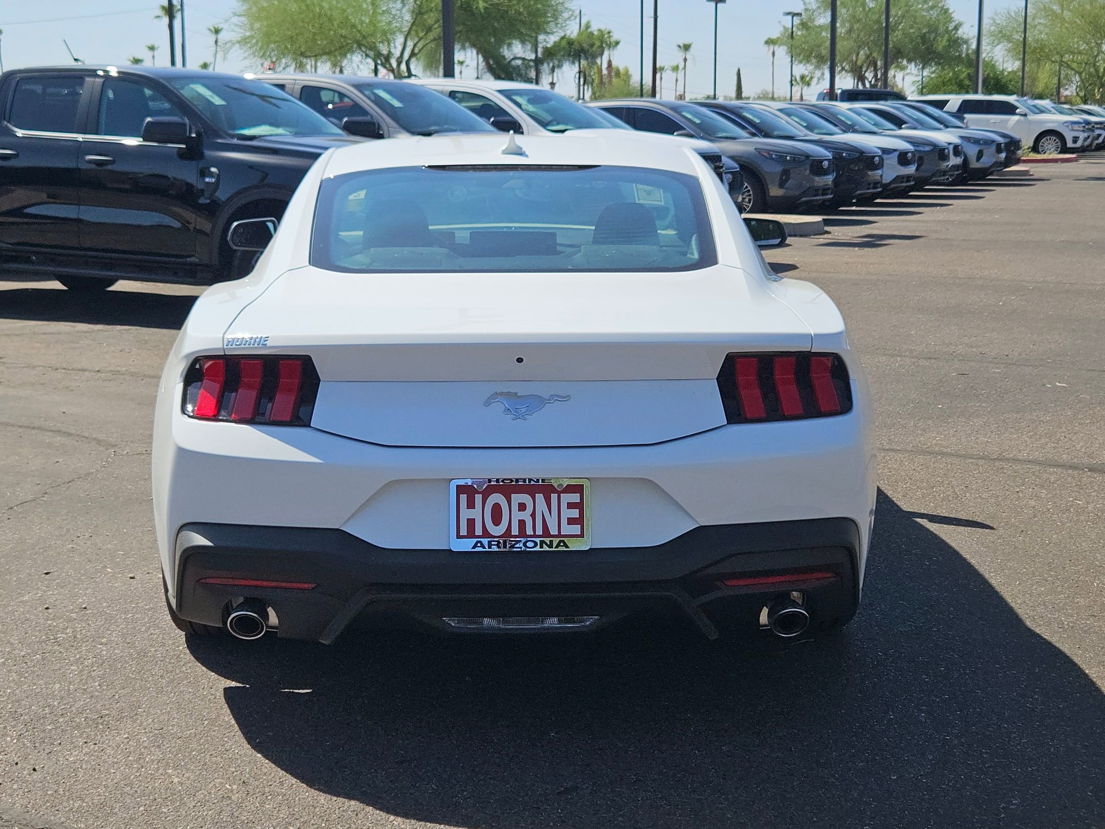 2025 Ford Mustang EcoBoost photo 3
