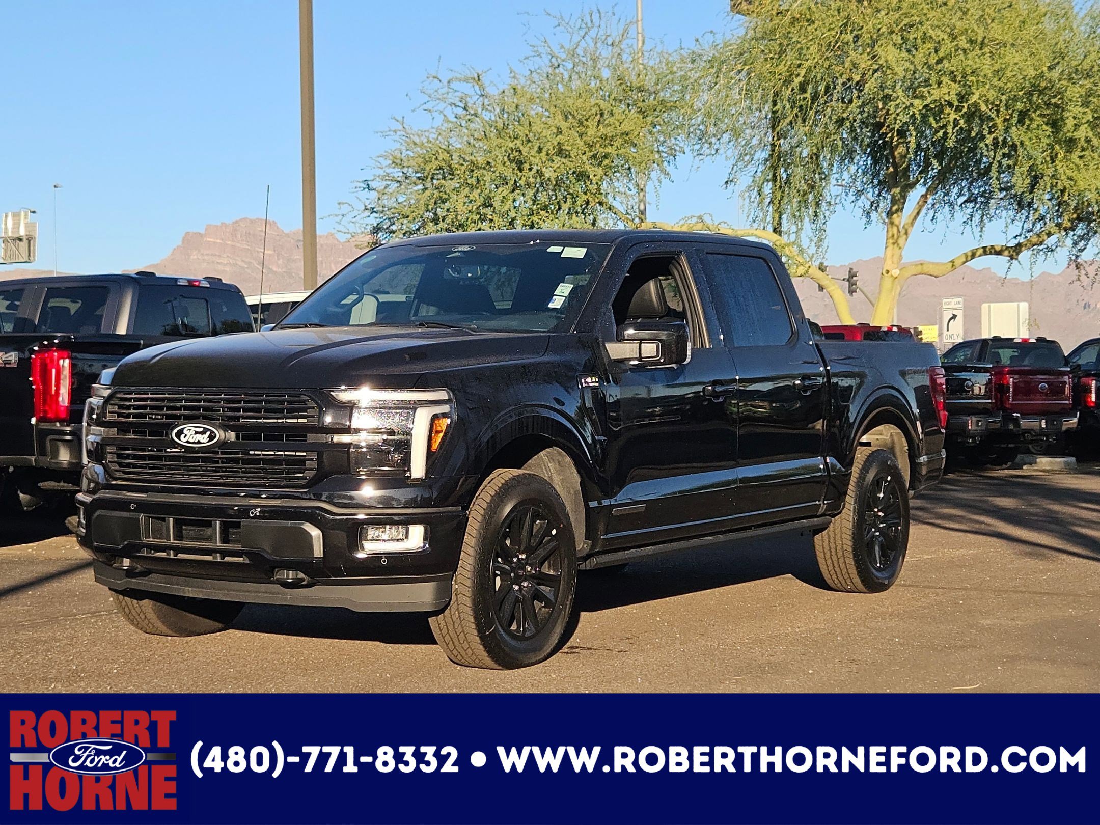 2025 Ford F-150 Platinum's photo