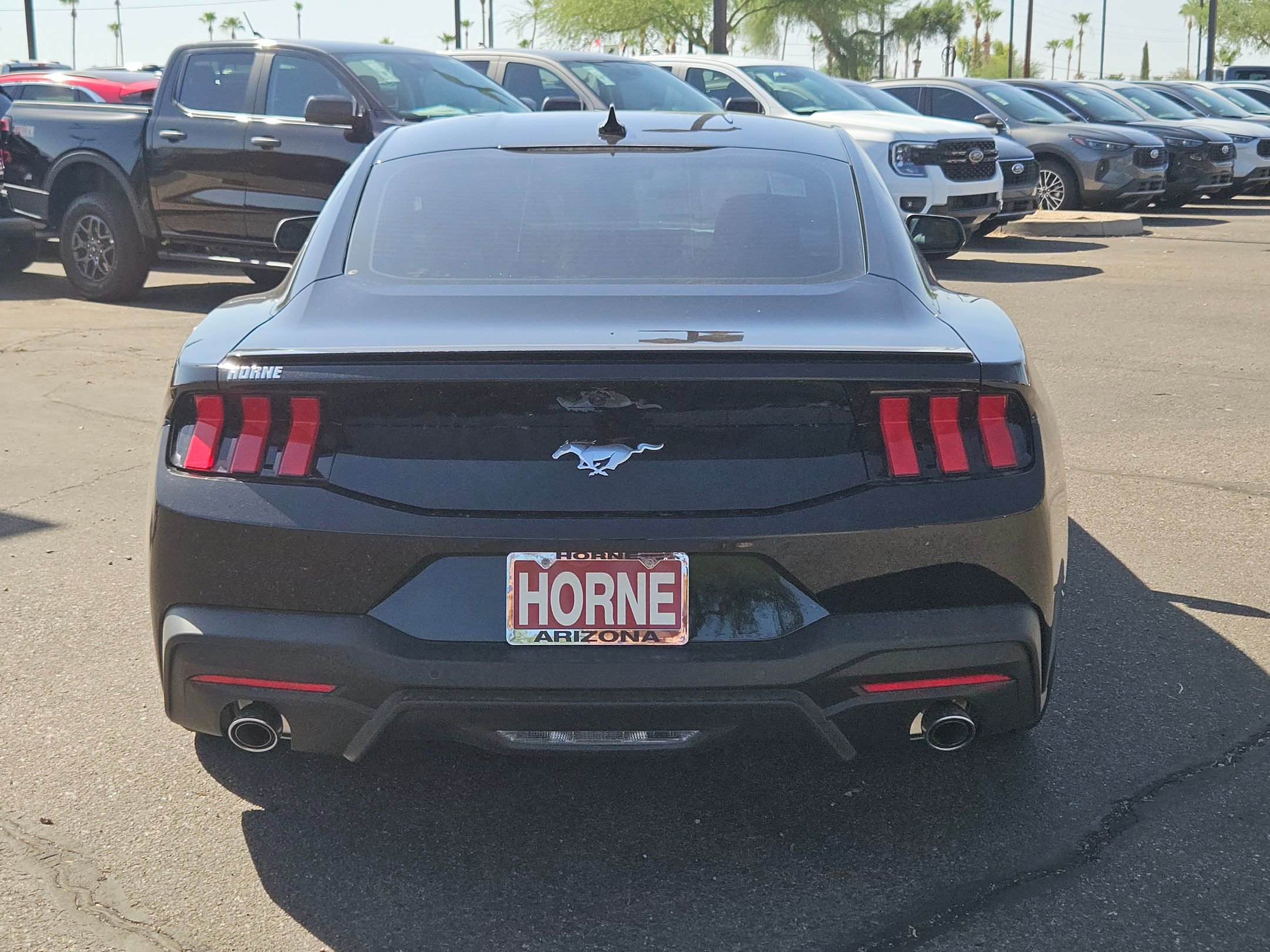 2025 Ford Mustang EcoBoost Premium photo 3