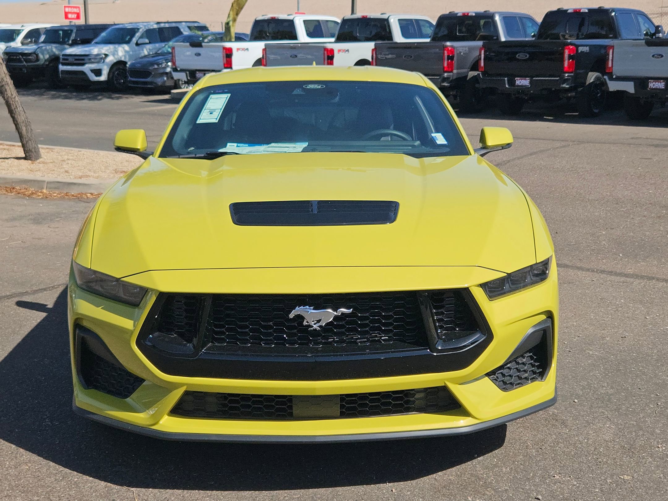 2025 Ford Mustang GT Premium photo 2