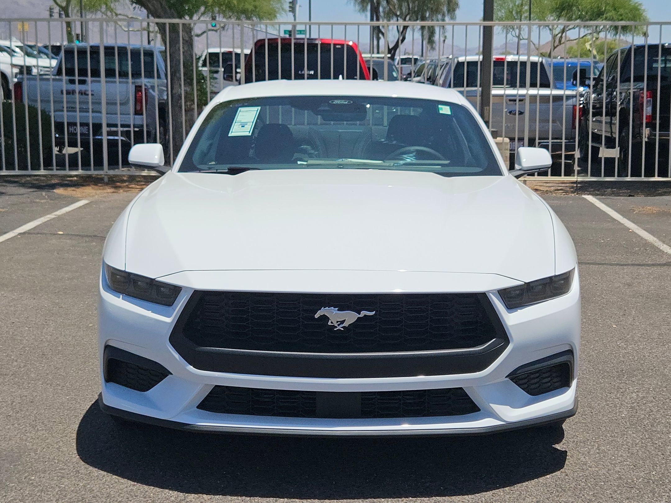 2025 Ford Mustang EcoBoost photo 2