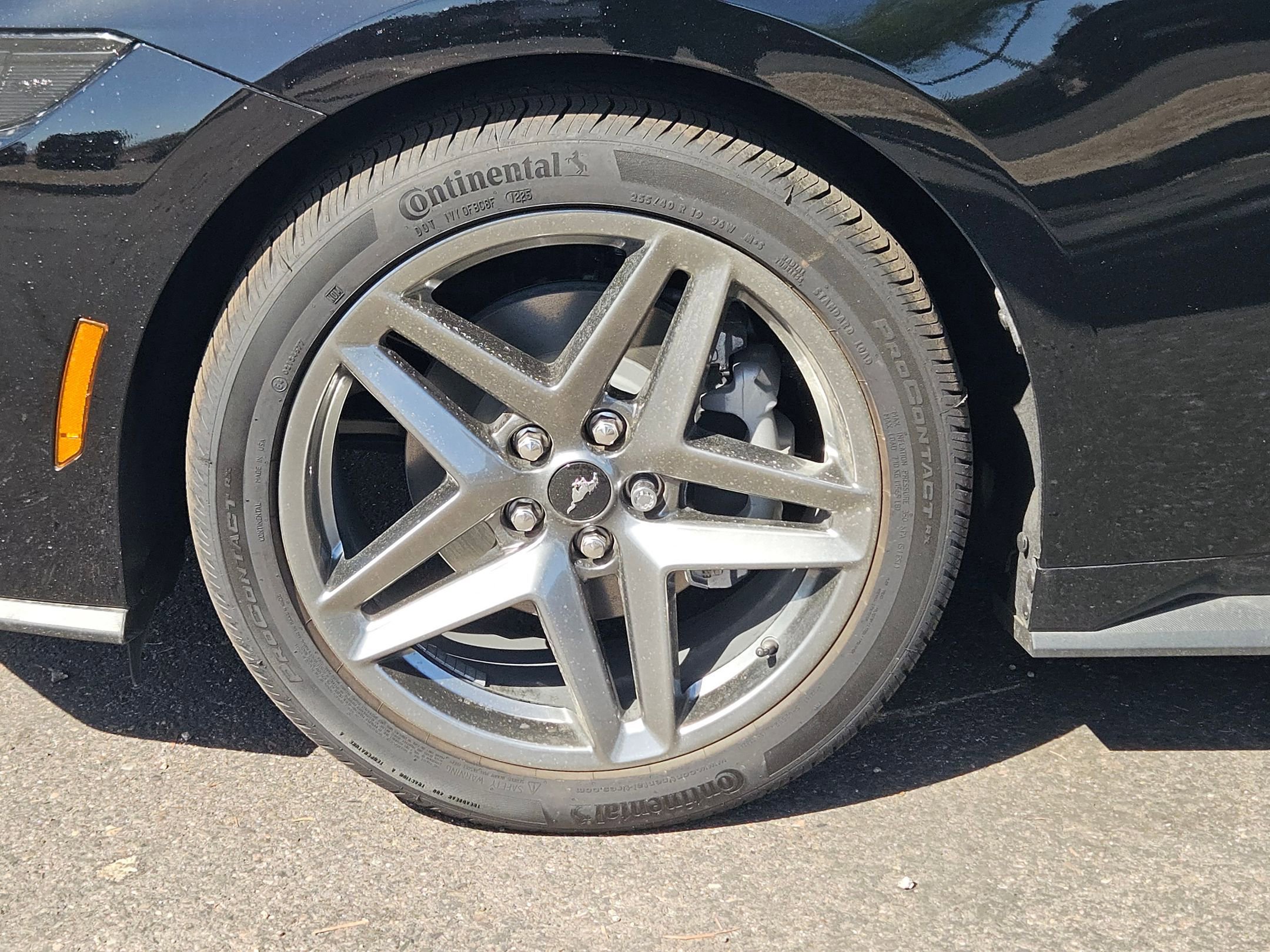 2025 Ford Mustang EcoBoost Premium Fastback - Photo 6