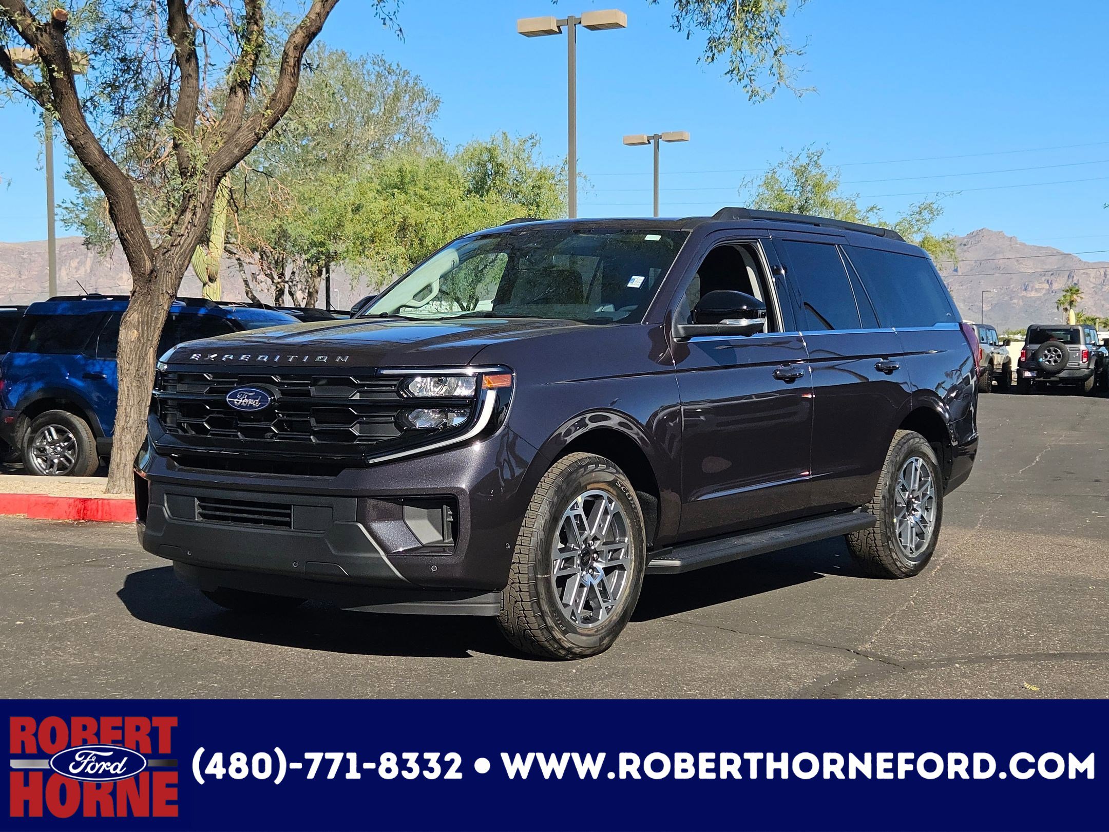 2025 Ford Expedition Active's photo