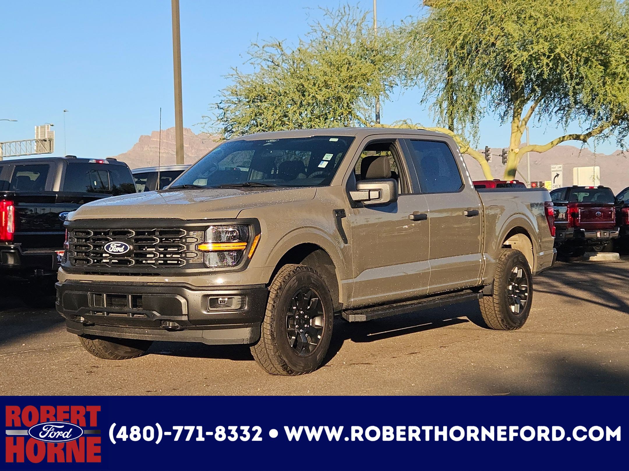 2025 Ford F-150 STX's photo