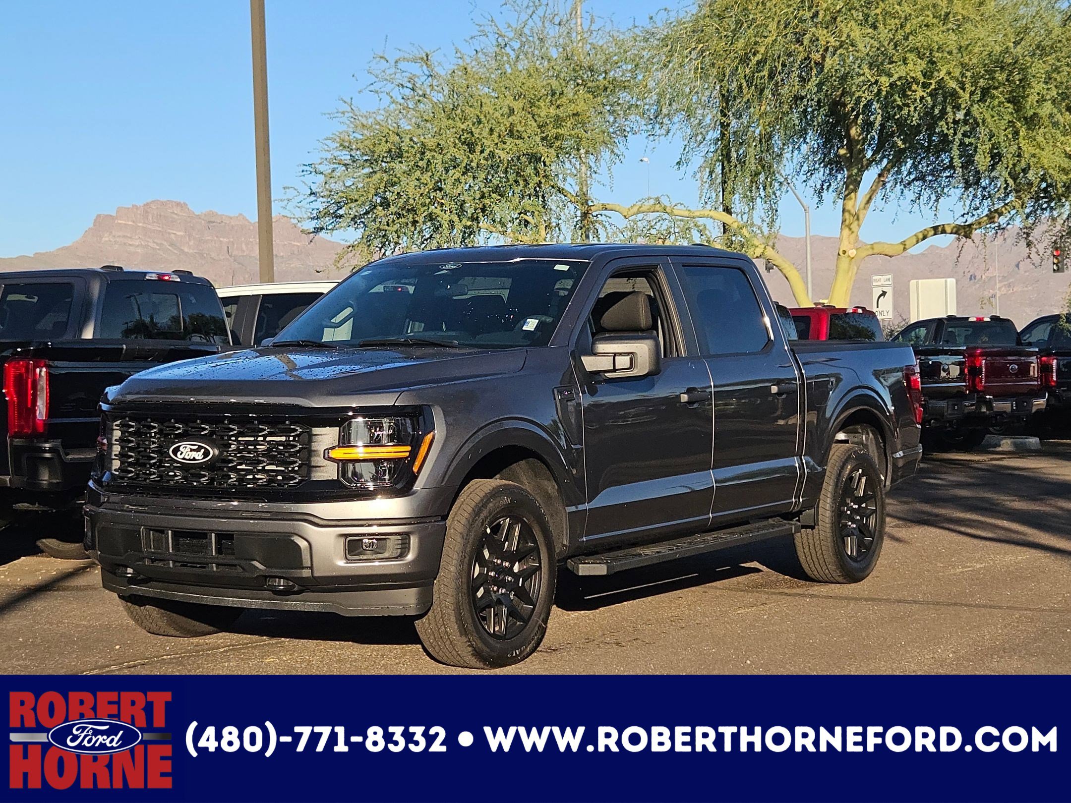 2025 Ford F-150 STX's photo