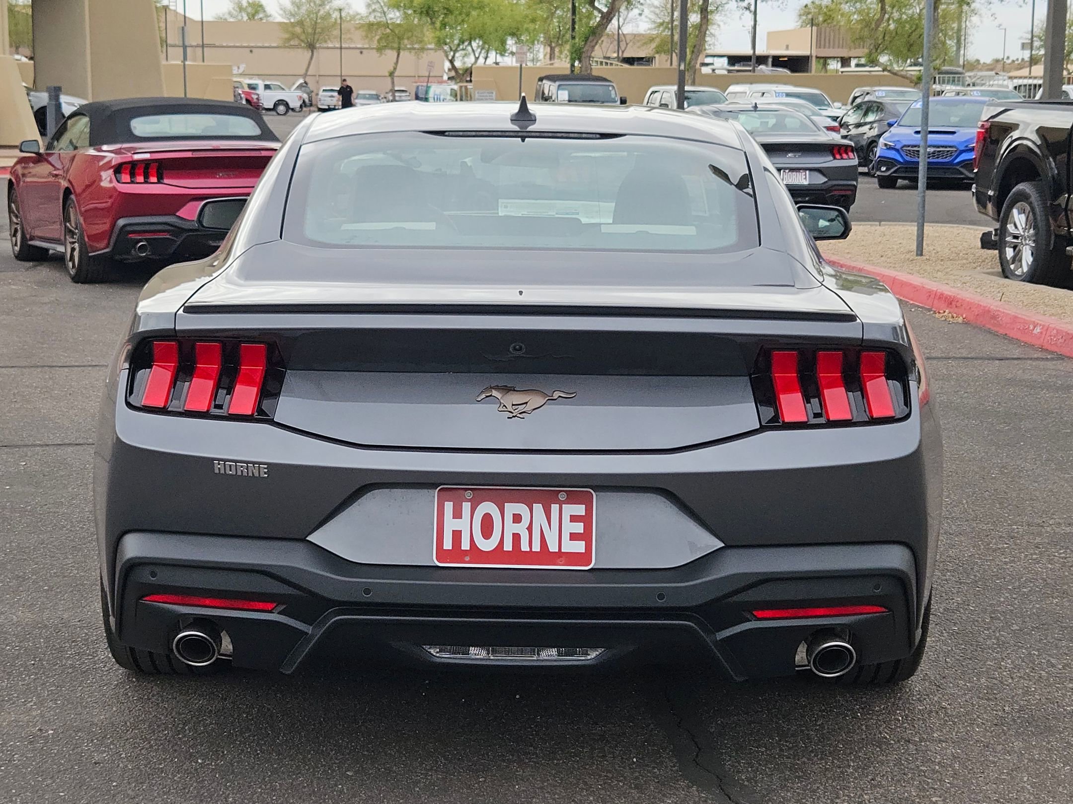 2025 Ford Mustang EcoBoost Premium photo 3
