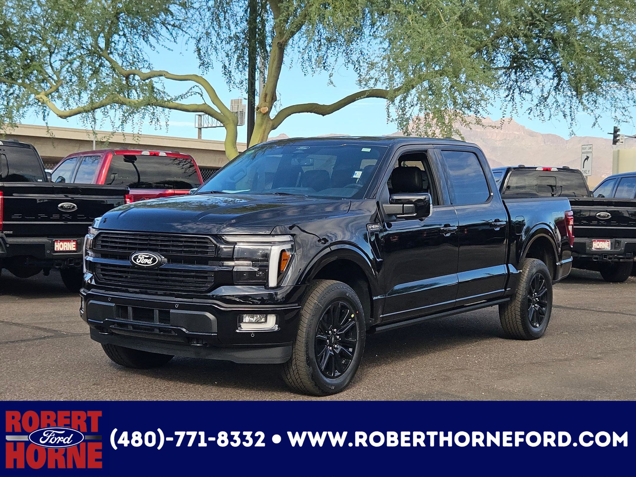 2025 Ford F-150 Platinum's photo