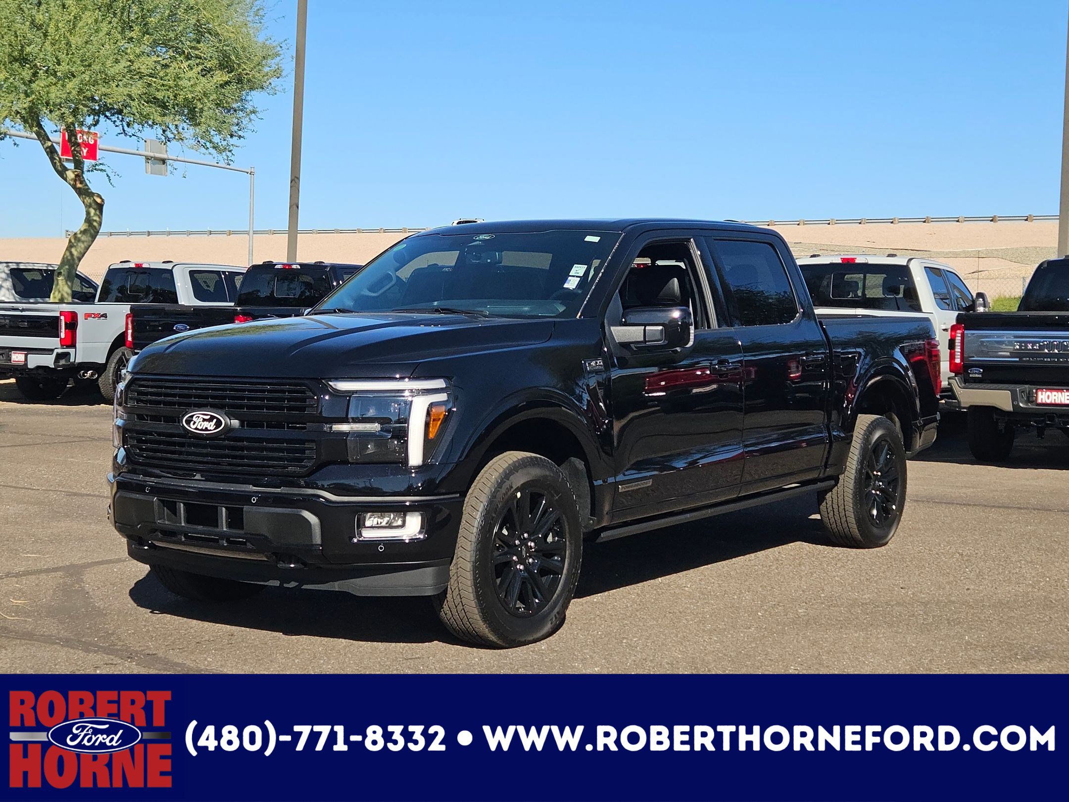 2025 Ford F-150 Platinum's photo