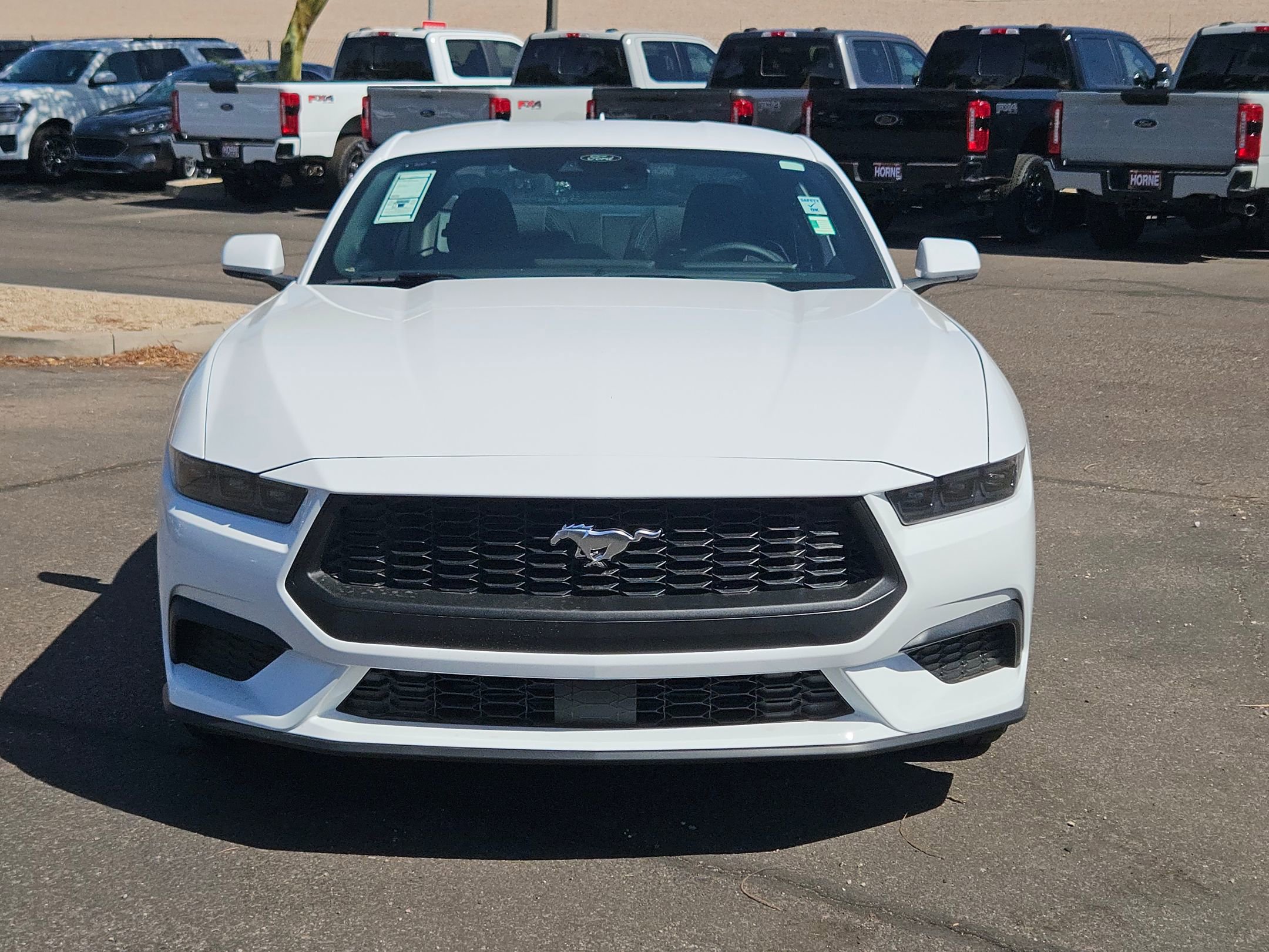 2025 Ford Mustang EcoBoost photo 2