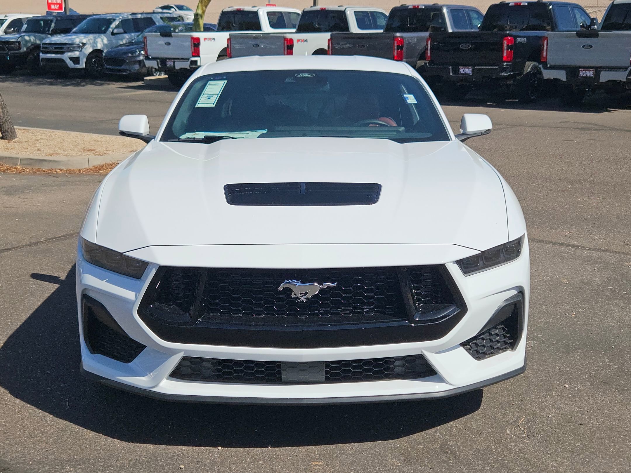 2025 Ford Mustang GT Premium photo 2