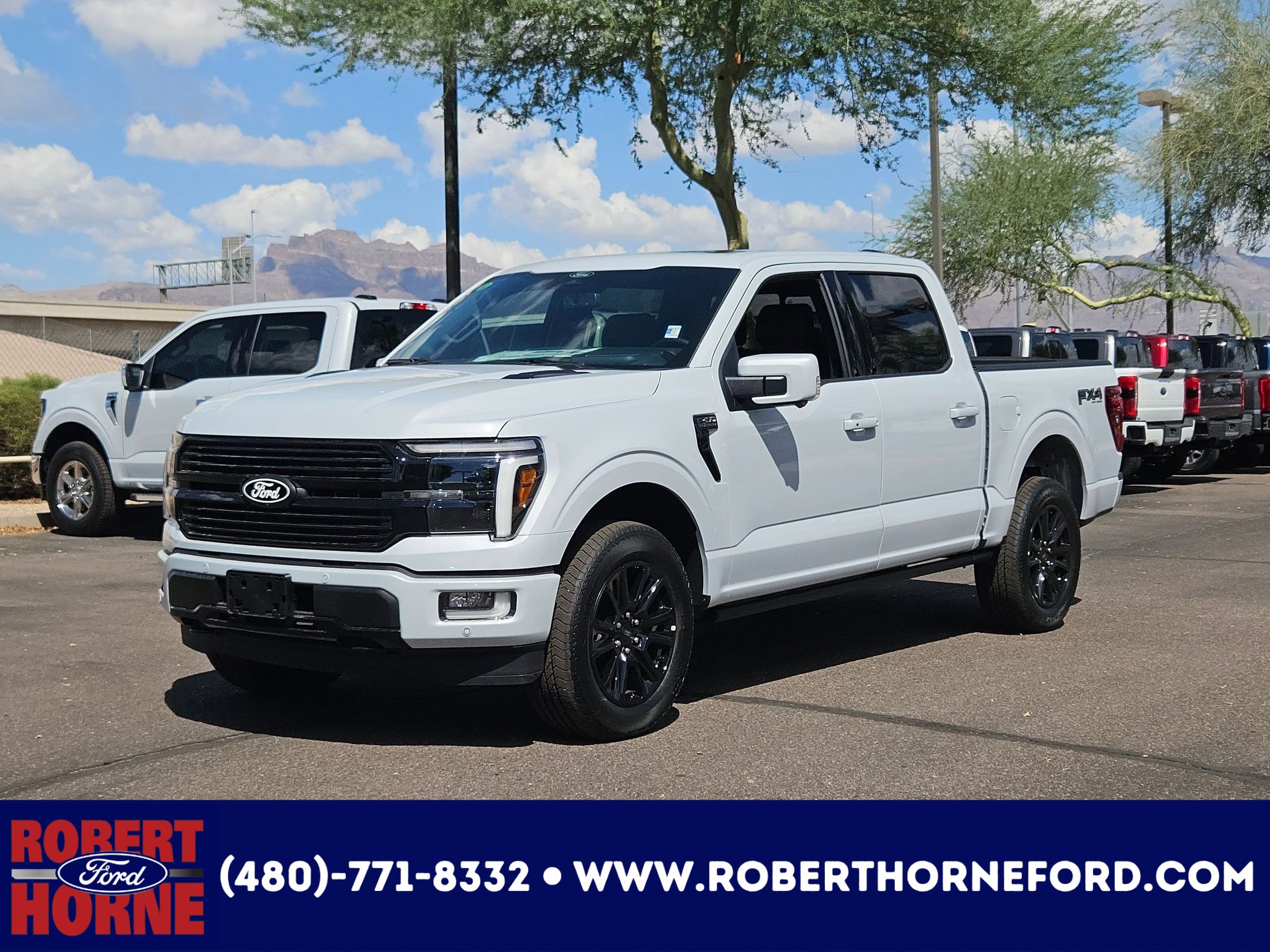 2025 Ford F-150 Platinum's photo