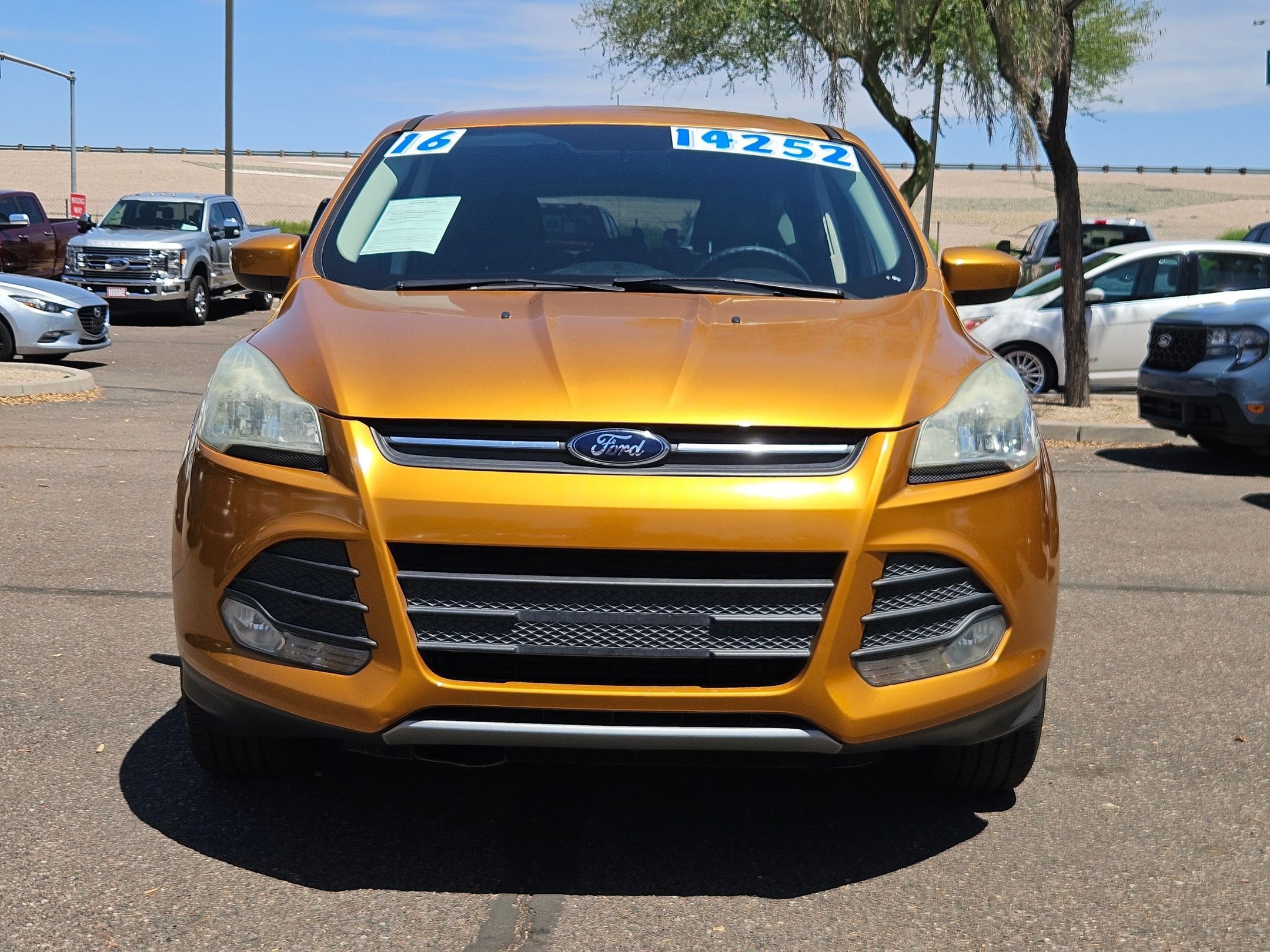Used 2016 Ford Escape SE with VIN 1FMCU0G7XGUC89732 for sale in Apache Junction, AZ