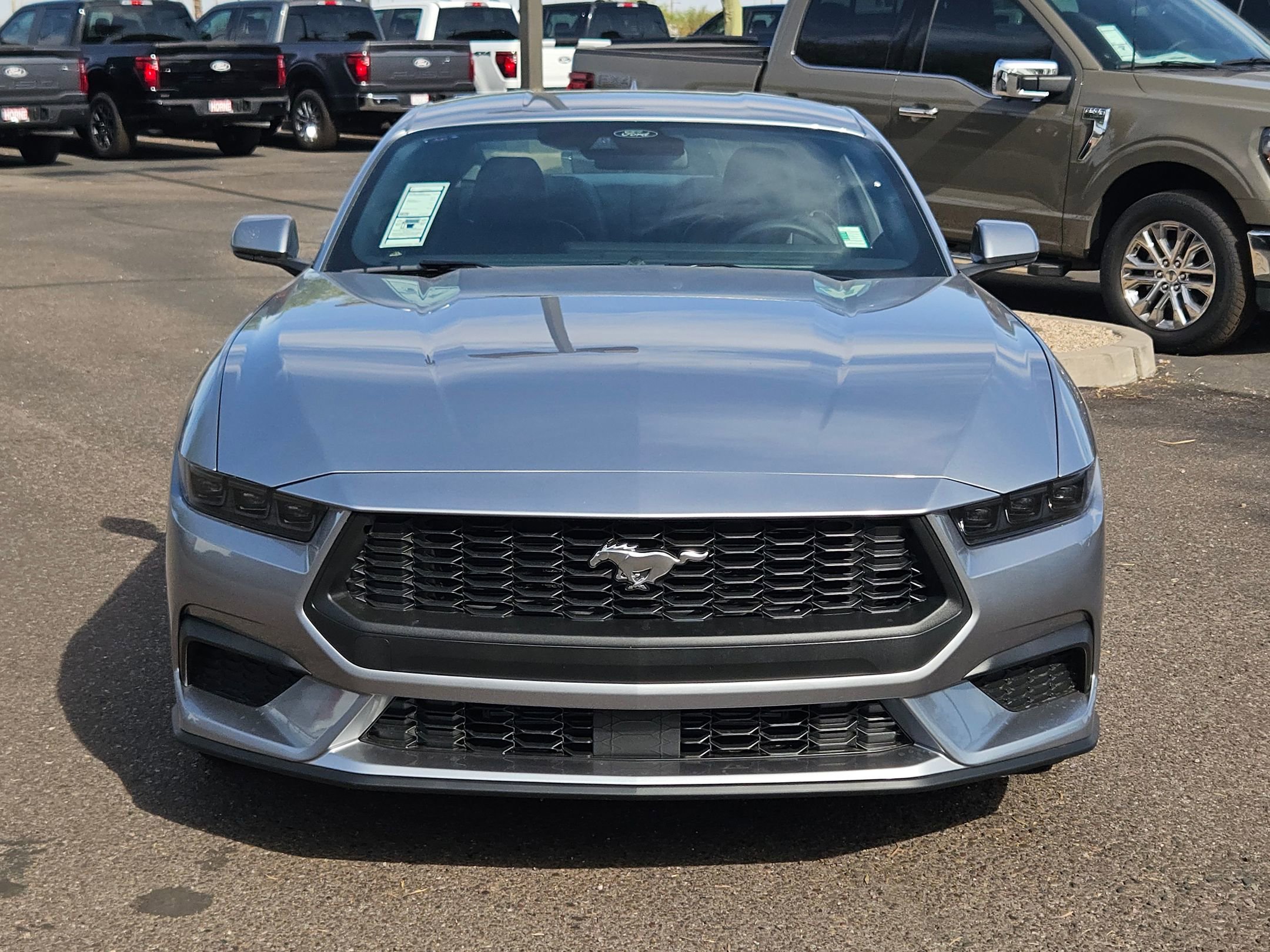 2025 Ford Mustang EcoBoost Premium photo 2