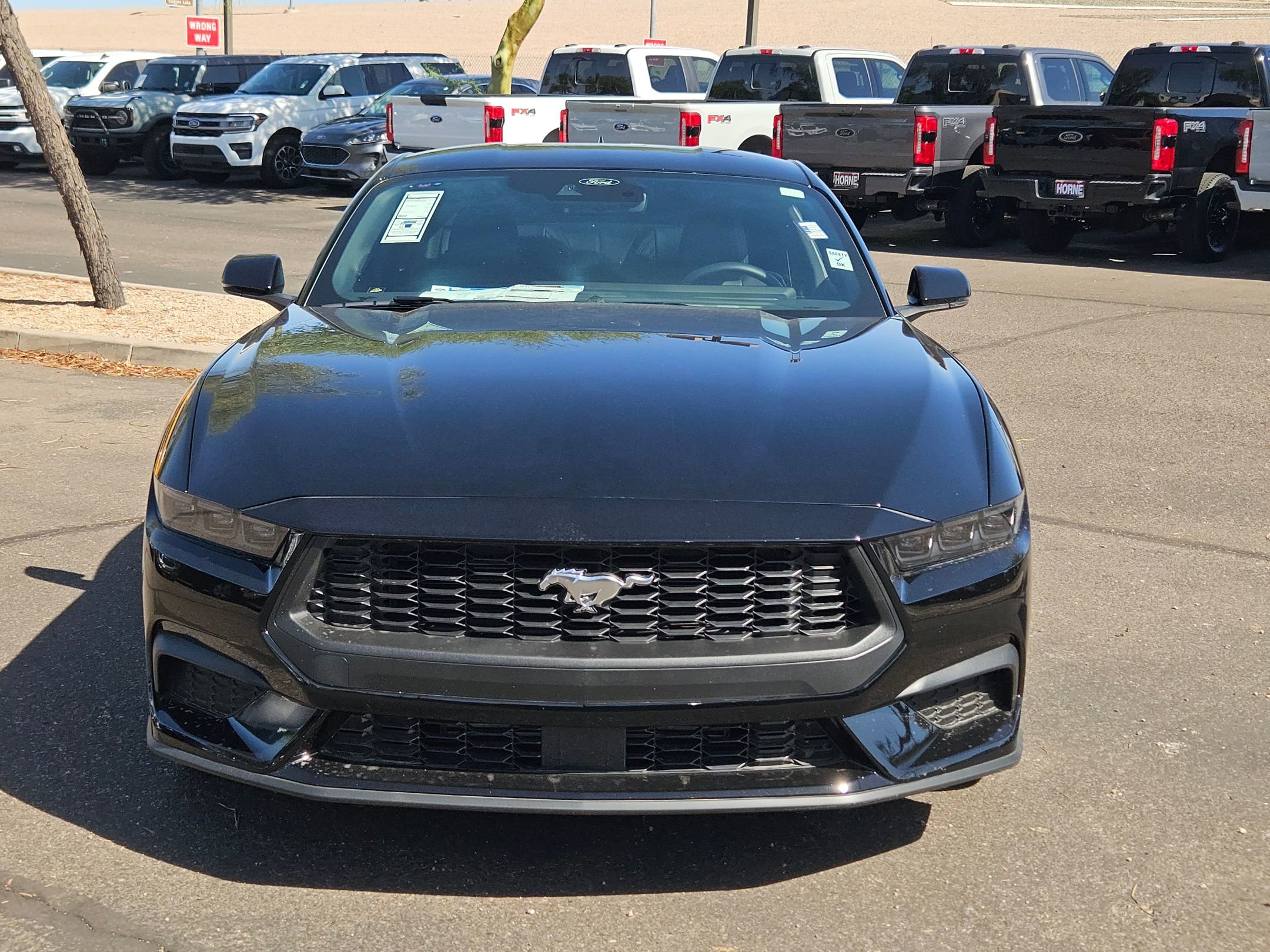 2025 Ford Mustang EcoBoost Premium photo 2