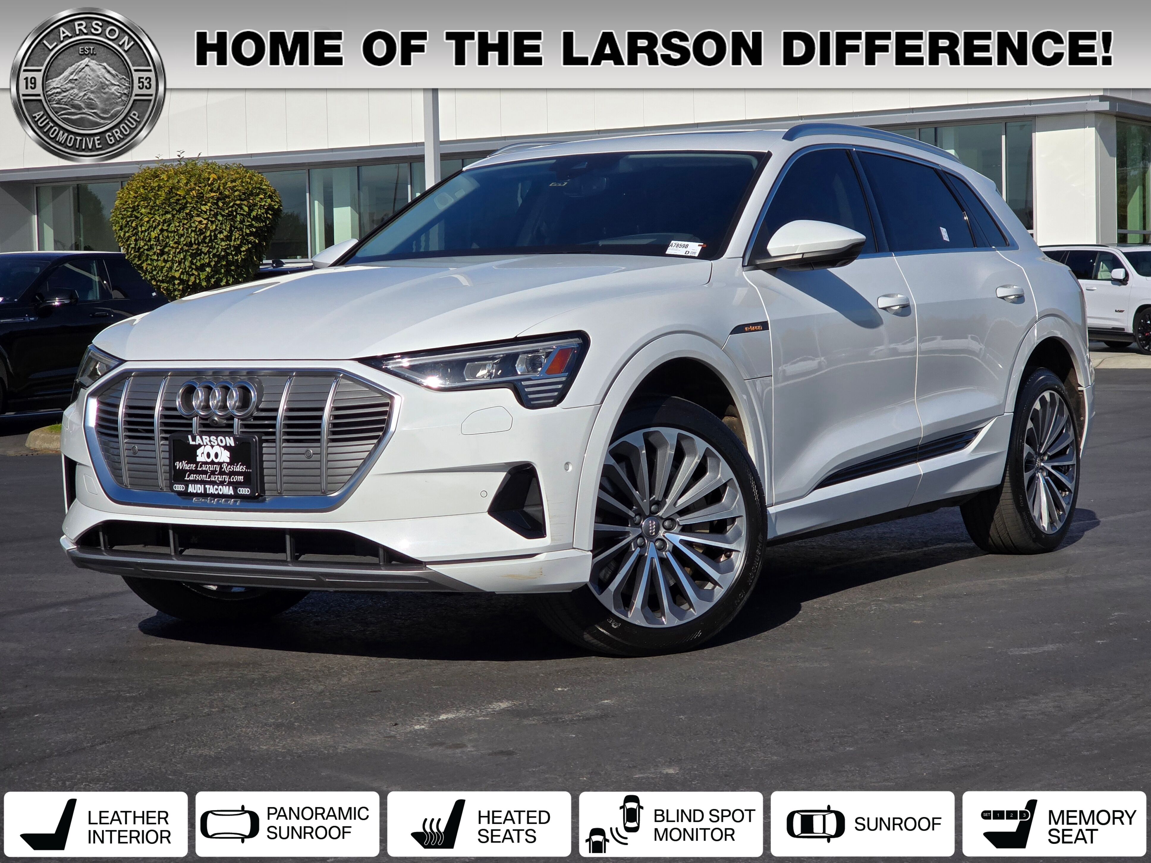 2019 Audi e-tron