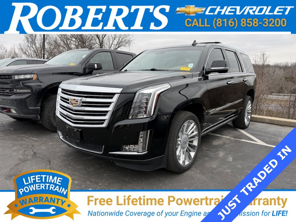 2016 Cadillac Escalade Platinum's photo