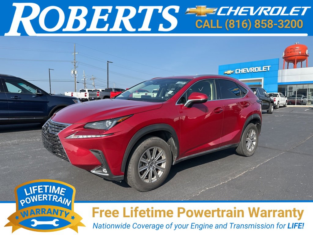 2019 Lexus NX 300's photo