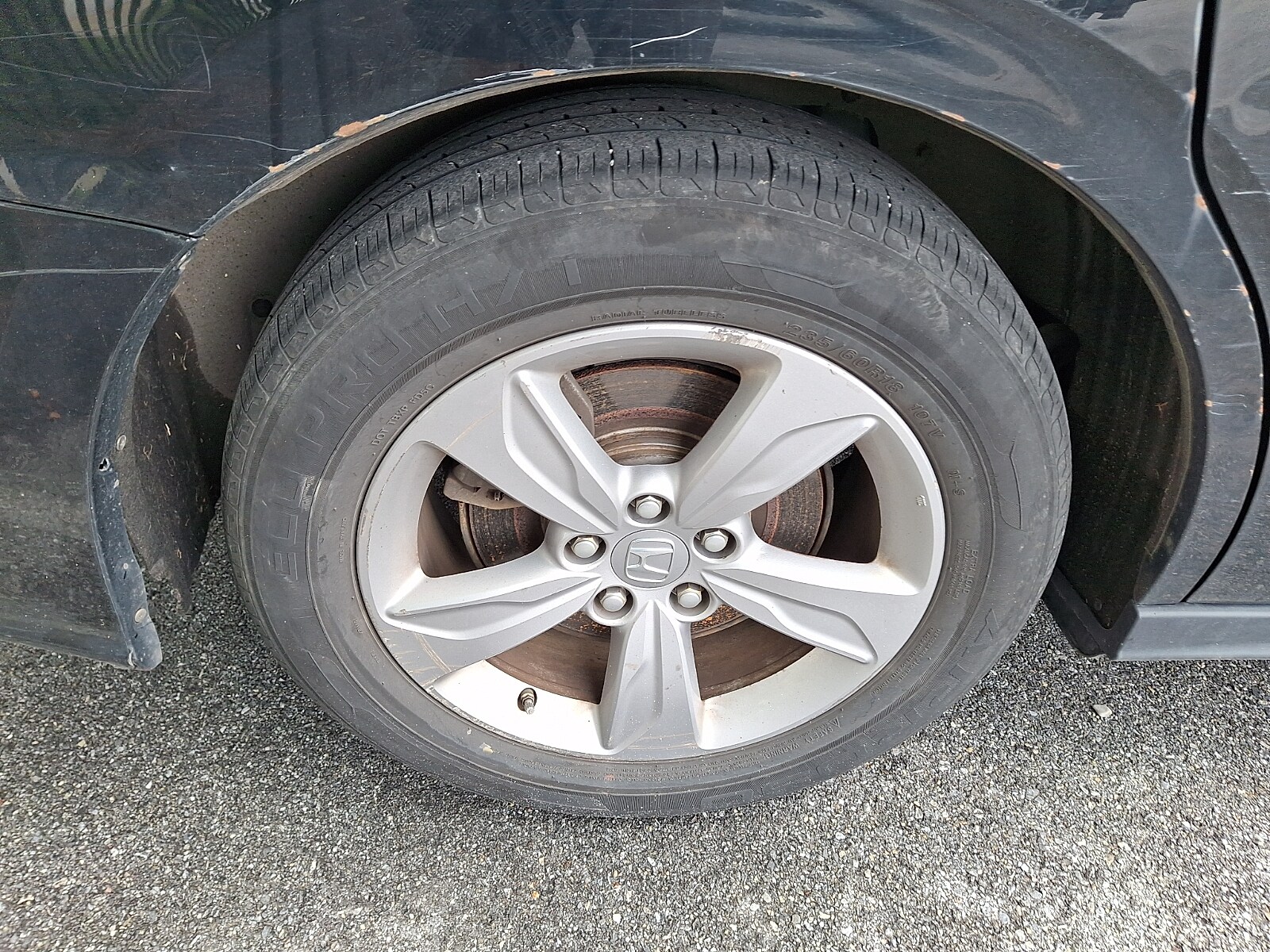 Photo 4