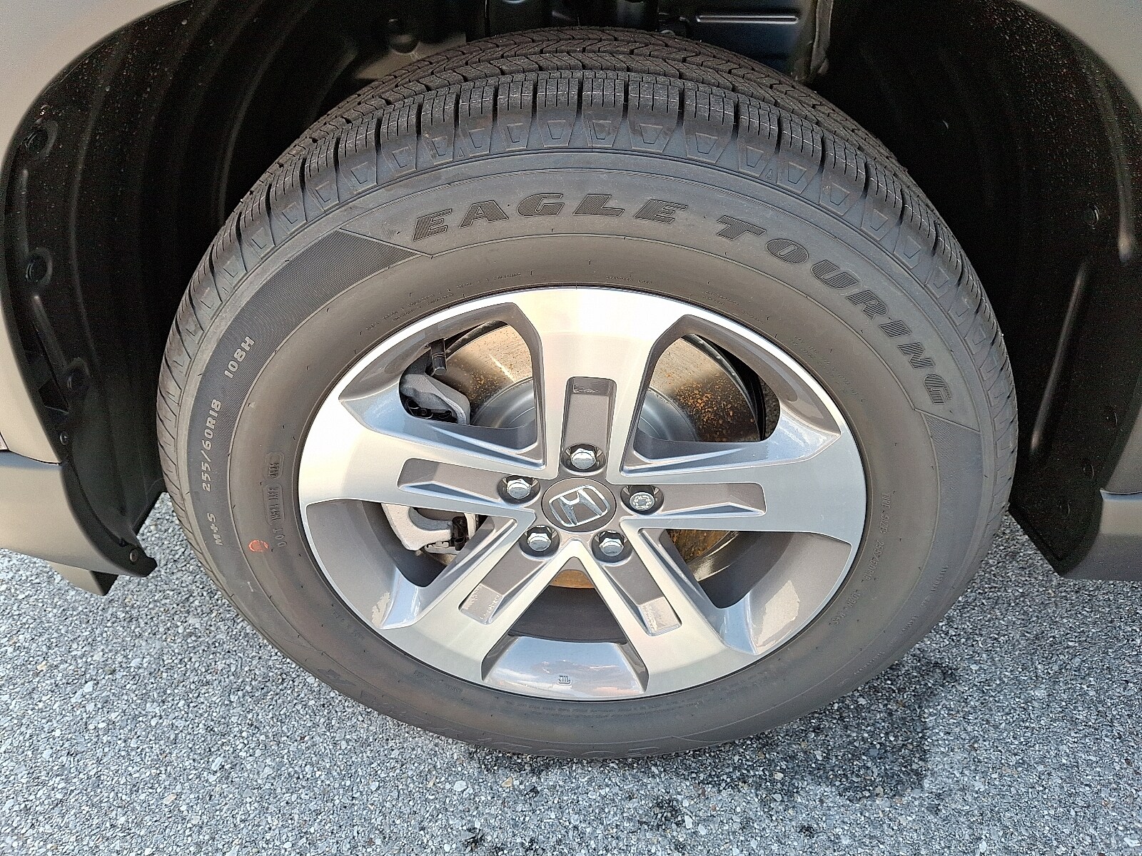 2025 Honda Pilot EX-L photo 4