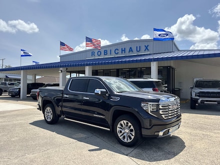 2022 GMC Sierra 1500 4WD Crew Cab 147 Denali Crew Cab Pickup
