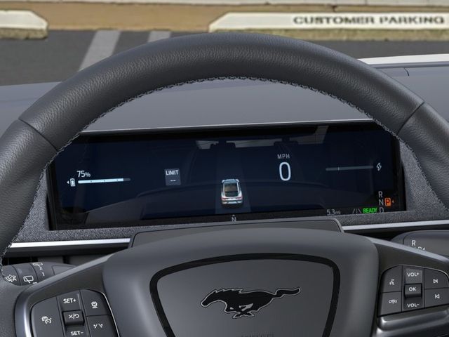 2025 Ford Mustang Mach-E GT - Photo 13