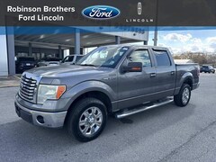 2010 Ford F-150 Truck