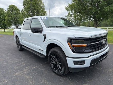 2025 Ford F-150 XLT Truck