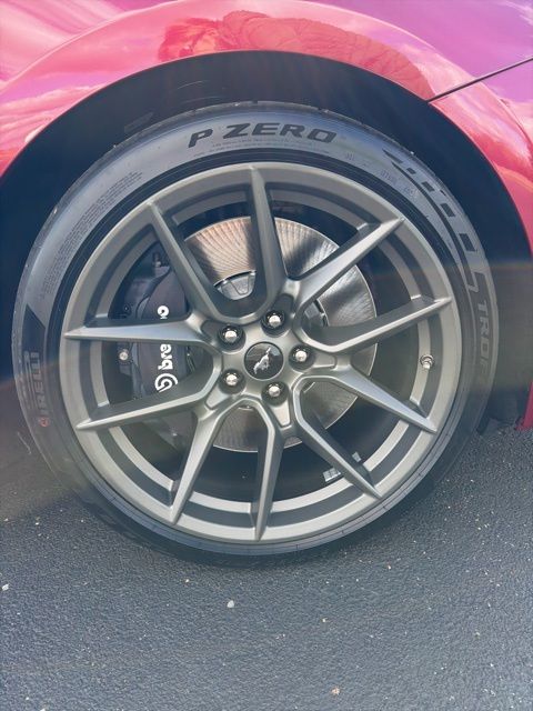 2025 Ford Mustang Dark Horse - Photo 18