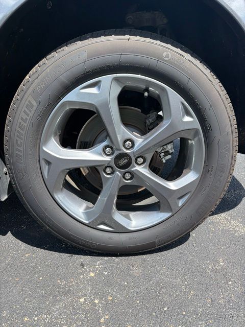 Photo 19