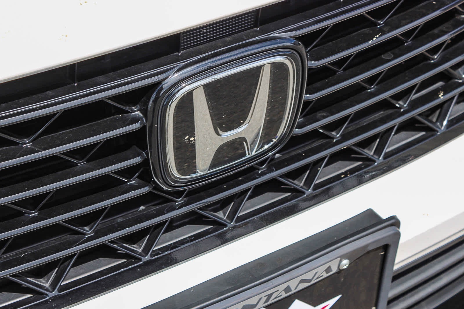 2025 Honda Accord Hybrid EX-L photo 4