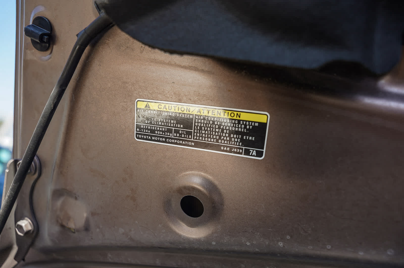 Thumbnail: 2019 Toyota Sienna - 29