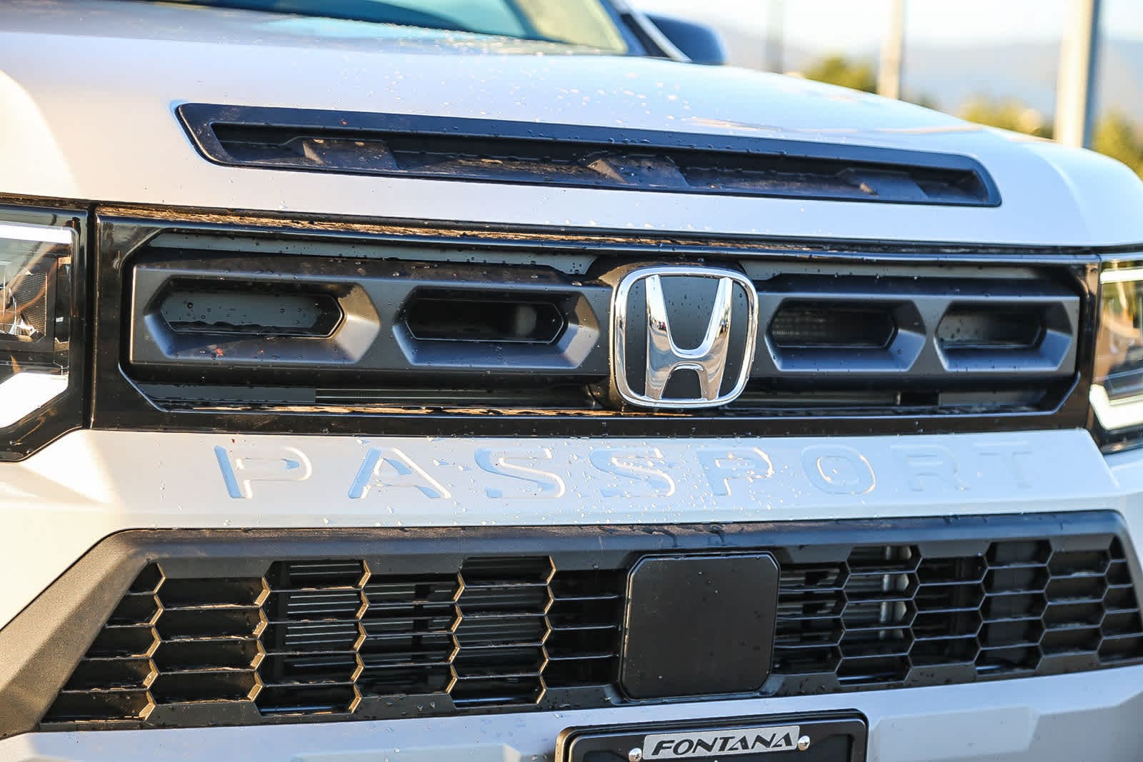Thumbnail: 2026 Honda Passport - 5