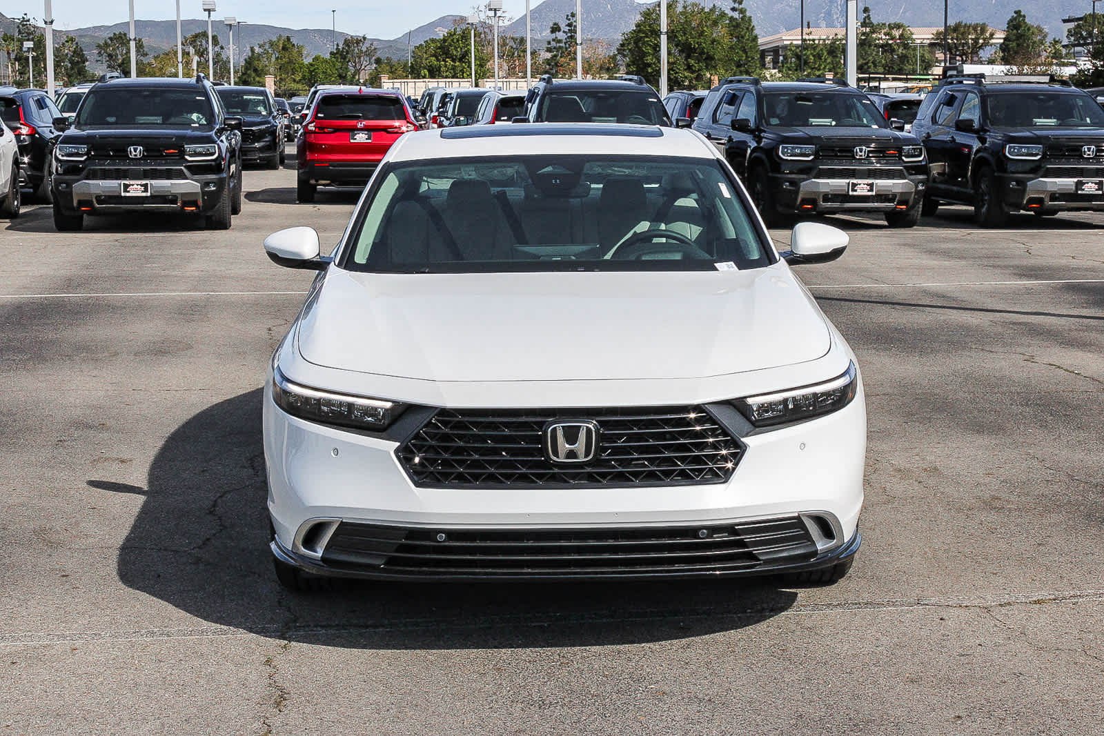 Thumbnail: 2026 Honda Accord - 2