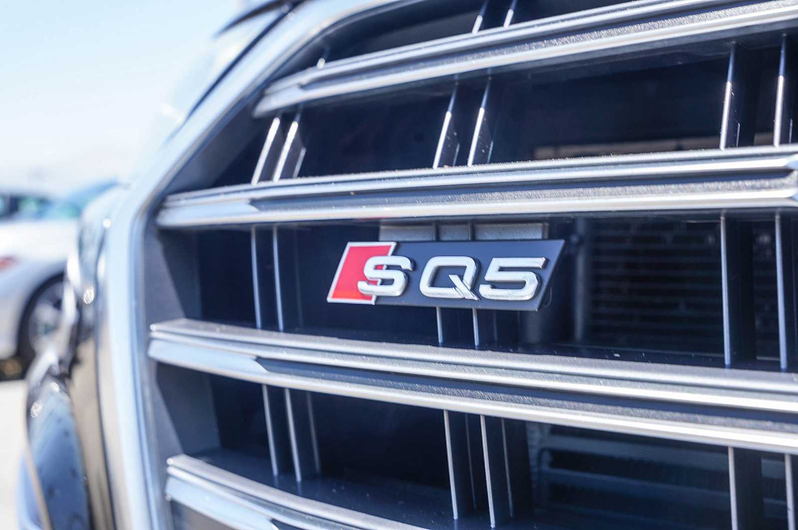Thumbnail: 2019 Audi SQ5 - 12