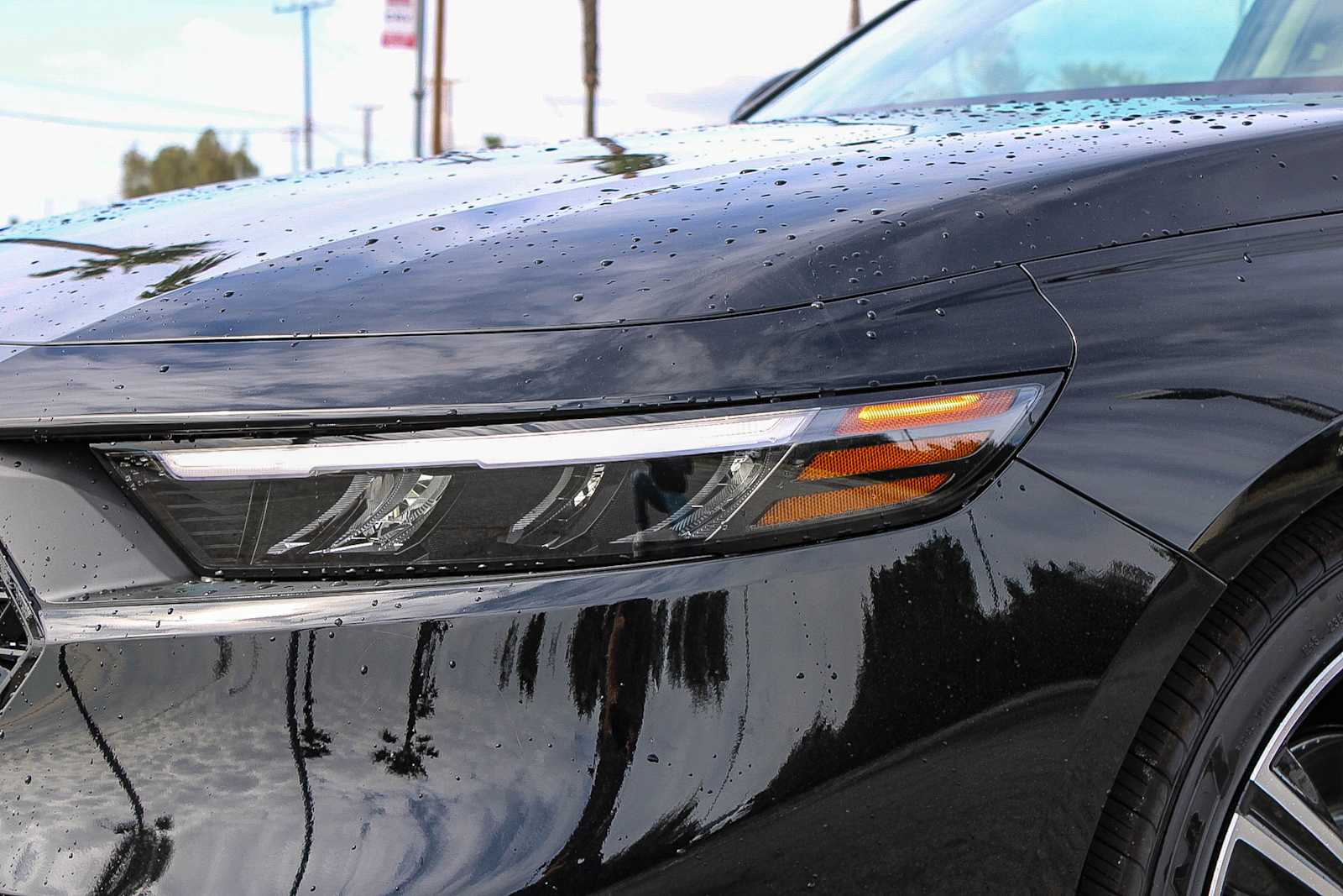 Thumbnail: 2026 Honda Accord - 10