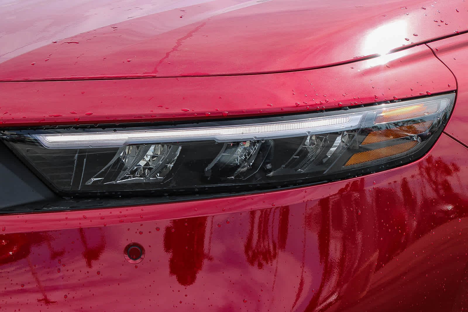 Thumbnail: 2026 Honda Accord - 10