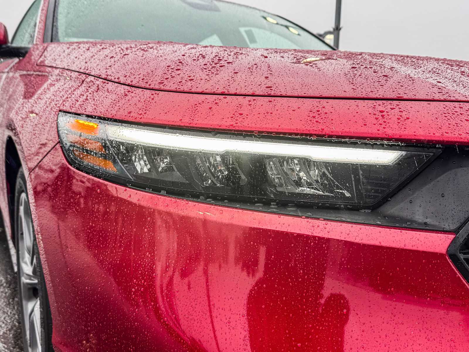 Thumbnail: 2024 Honda Accord - 4